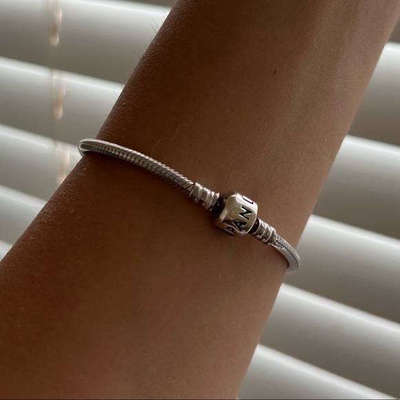 Pandora Silver Charm Bracelet - Picture 1 of 3